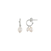 Freshwater Pearl 'Island' Earrings - Dracakis Jewellers